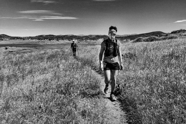 walking crabby at san diego 100