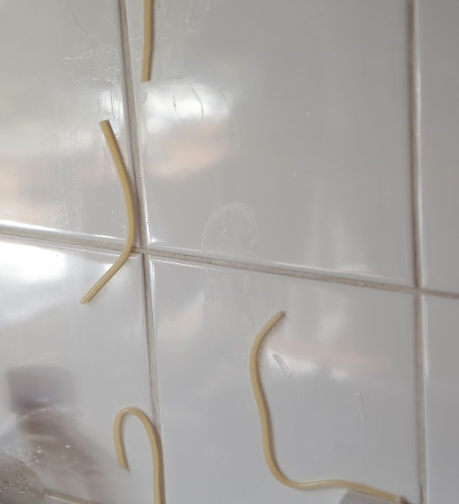 spaghetti-stuck-on-wall