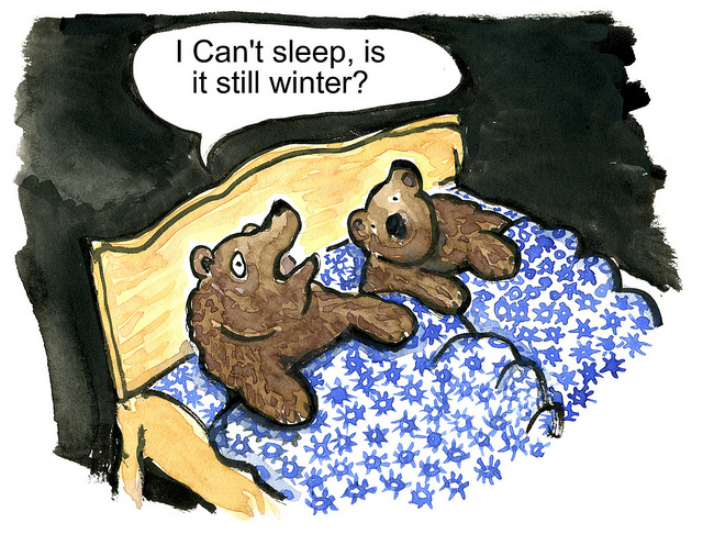 Insomniac Bears
